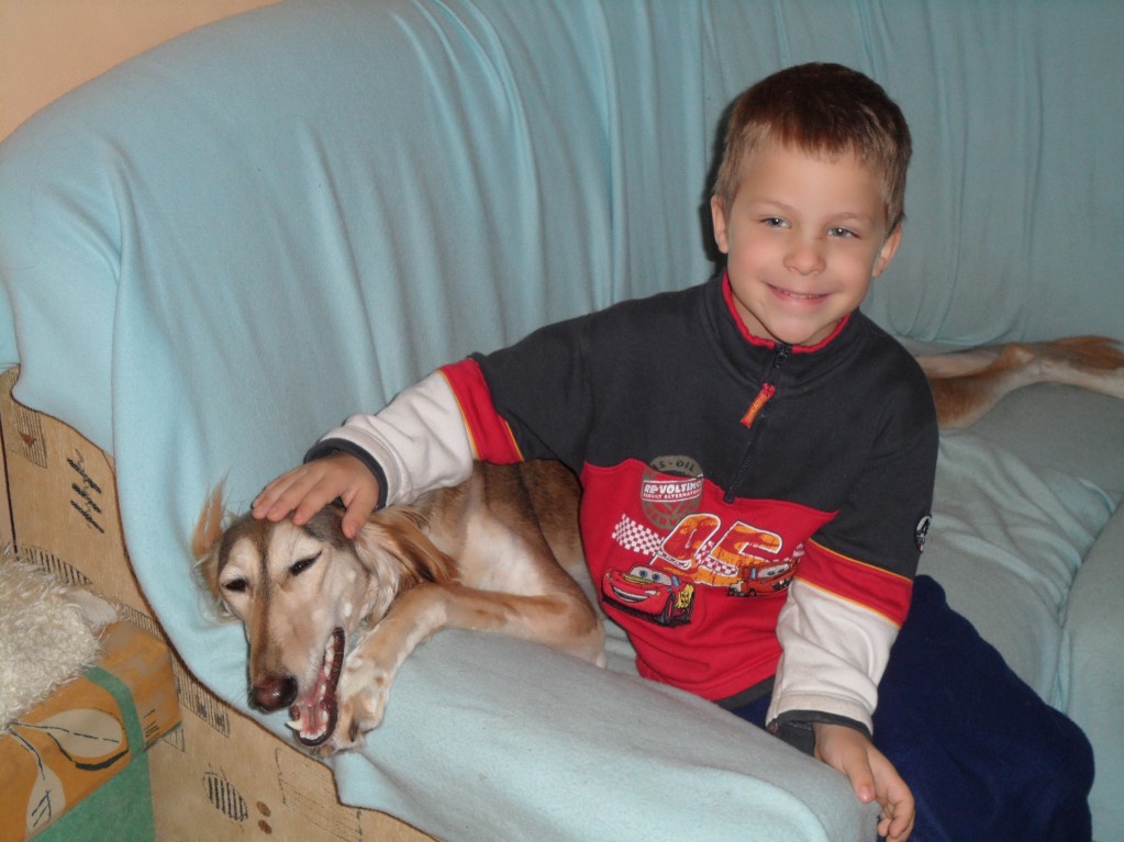 SAM_0569