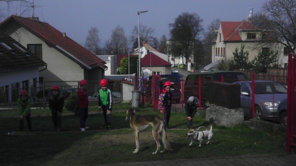 IMAG0134