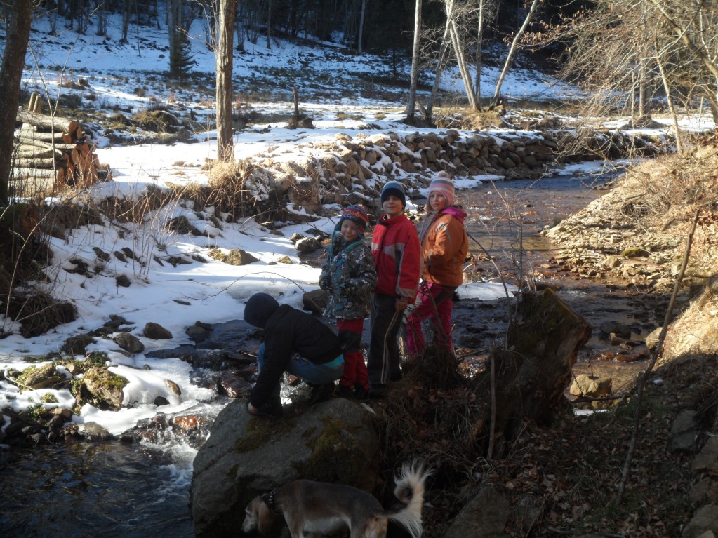SAM_4039